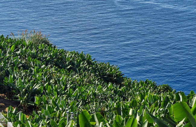 Vista Mar, a Home in Madeira - Foto 7