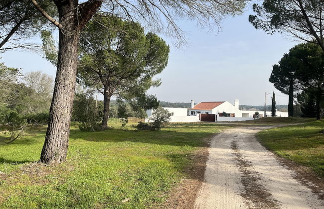 Fazenda do Pomar - Photo 63