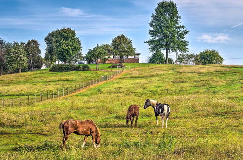 Photo 2 - Mammoth Cave Rental on 50 Acres: Shared Amenities