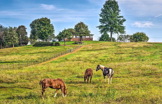 Photo 2 - Mammoth Cave Rental on 50 Acres: Shared Amenities