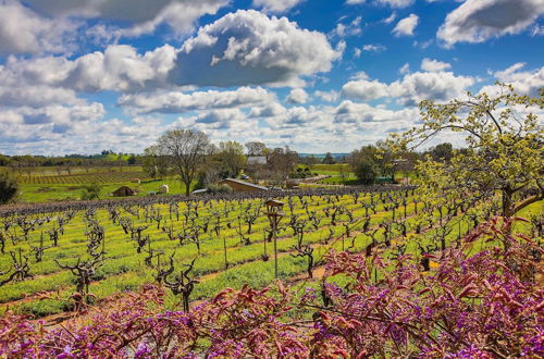 Photo 20 - Plymouth Villa w/ Working Vineyard & Private Pool