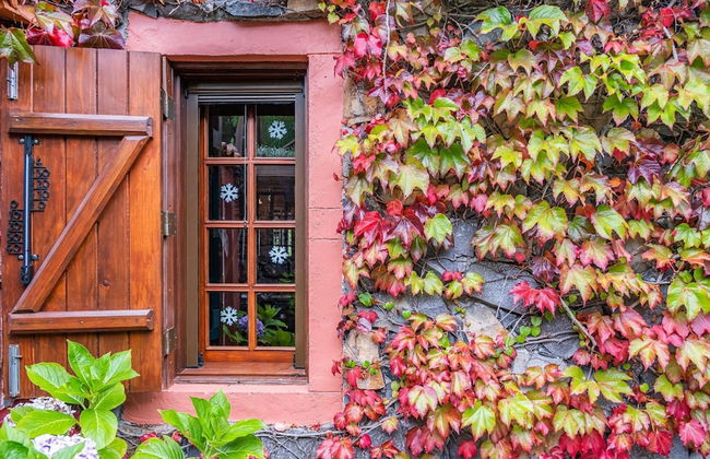 Villa Achada da Mouca by Madeira Sun Travel - Photo 28