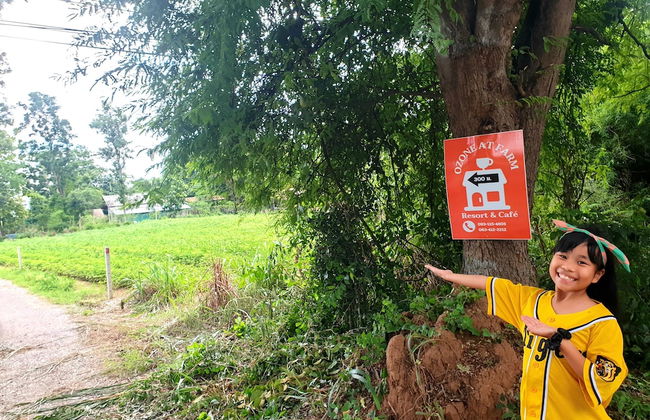 Ozone at farm - Foto 11