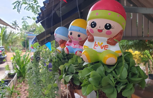 Ozone at farm - Foto 5