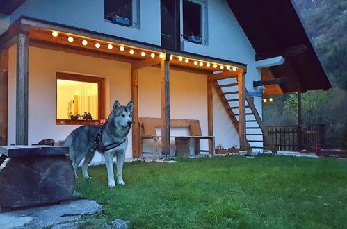 Photo 38 - Soča Home With The View