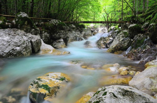 Photo 13 - Soča Home With The View