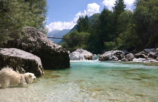 Soča Home With The View - Foto 59
