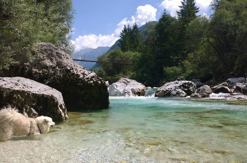 Photo 58 - Soča Home With The View