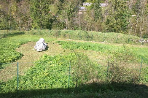 Photo 32 - Soča Home With The View