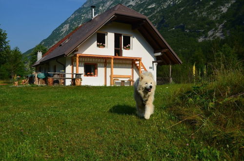 Photo 64 - Soča Home With The View