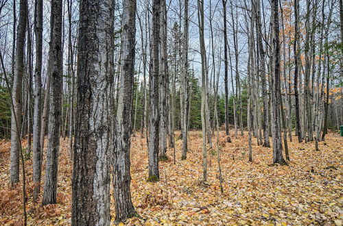 Photo 23 - 'camp Tony' w/ Trail Access: Walk to Lake Huron