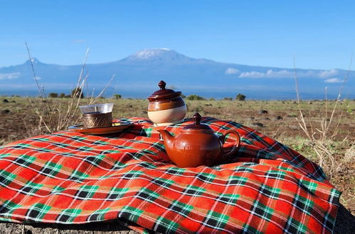 Photo 17 - Amanya Star Bed Amboseli