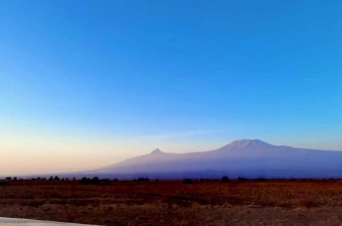 Photo 16 - Amanya Star Bed Amboseli