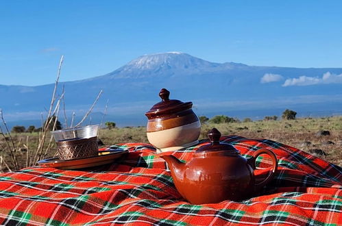 Photo 13 - Amanya Star Bed Amboseli