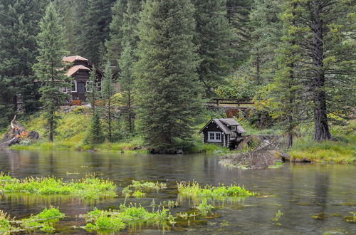 Foto 8 - Cozy Henrys Lake Escape - 20 Miles to Yellowstone