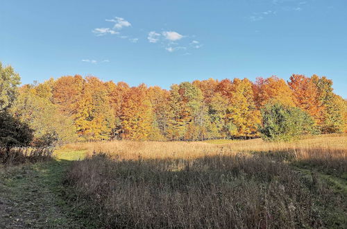 Photo 9 - Wilderness Retreat & Cross-country Ski Center