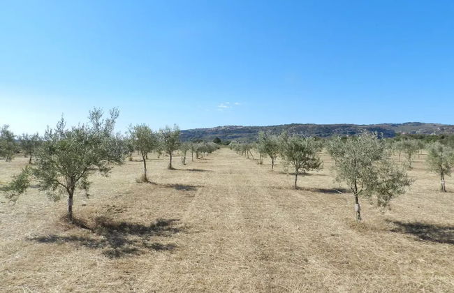 Masseria Santacatrini - Foto 49