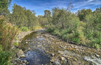 Photo 2 - Secluded Getaway w/ Deck, Steps to Fritz Creek