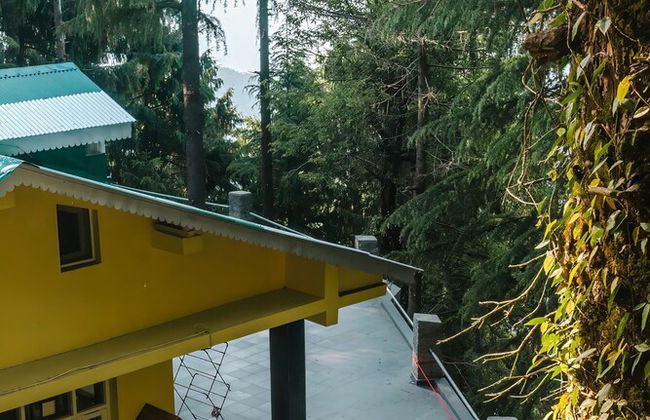 BluSalzz Villas - The Pine Tree, Dalhousie - Himachal Pradesh - Photo 45
