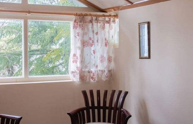 BluSalzz Villas - The Pine Tree, Dalhousie - Himachal Pradesh - Photo 12