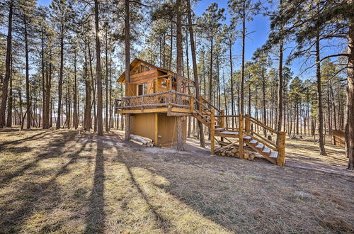 Photo 17 - CO Springs Apartment in the Pines w/ Treehouse