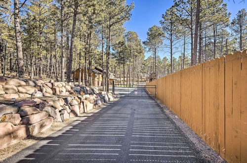 Photo 9 - CO Springs Apartment in the Pines w/ Treehouse