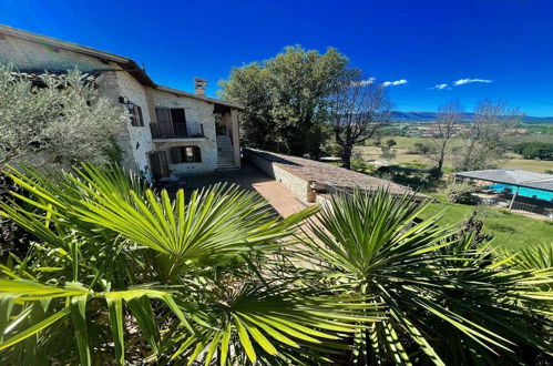 Photo 73 - Spoleto-poolside-sleeps-20pool, Jacuzzi, Gardens - Spectacular Grounds