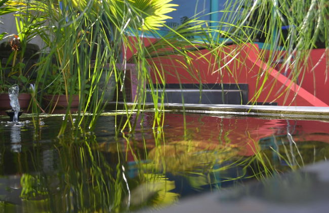 Piton Bungalows Ecolodges - Foto 2