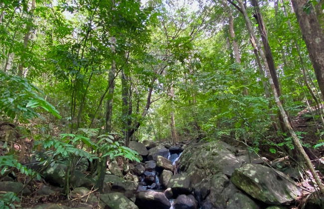 Kurunduketiya Private Rainforest Resort - Foto 21