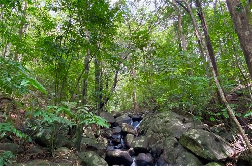 Photo 17 - Kurunduketiya Private Rainforest Resort