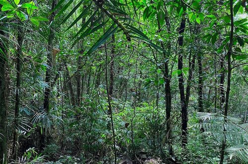 Photo 18 - Kurunduketiya Private Rainforest Resort