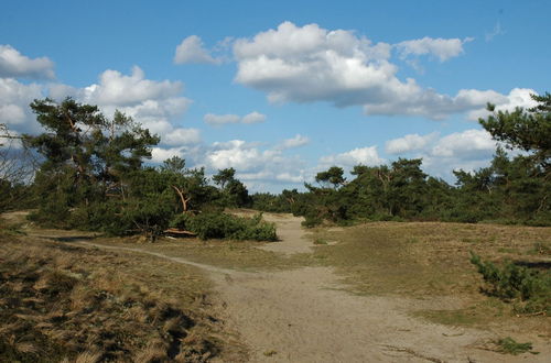 Photo 28 - Atmospheric Bungalow Near the Veluwe