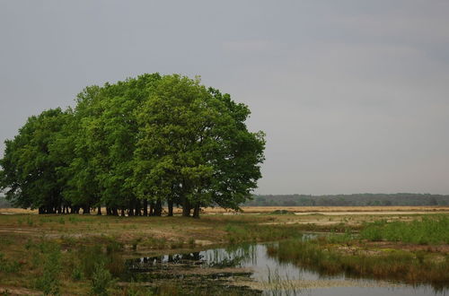 Photo 29 - Atmospheric Bungalow Near the Veluwe