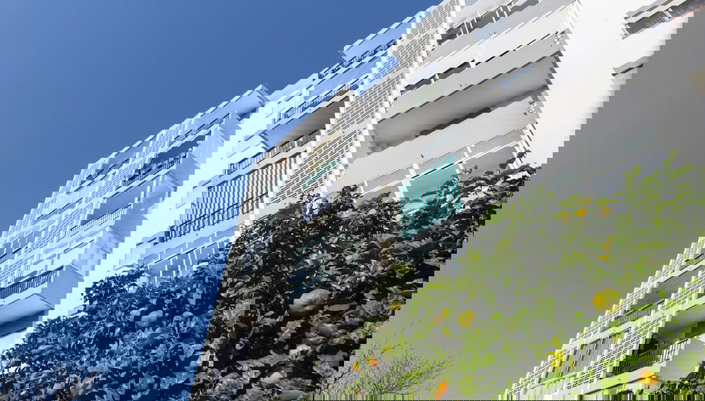 Primary image