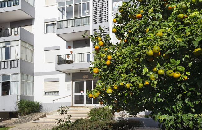 Olala Yolo Apartment - Foto 10