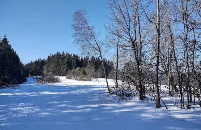 Gemutliches Apartment in Winterberg mit Balkon - Foto 31