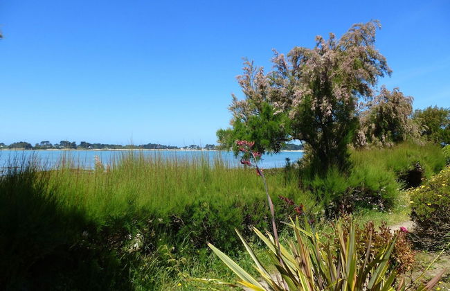 180deg Panoramic sea View, Apartment, Roscoff - Foto 23