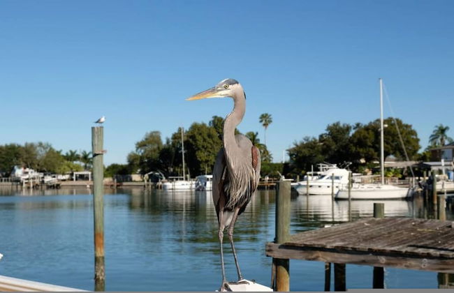 Villa Capri - Private Heated Saltwater Pool Dock Punta Gorda FL - Foto 75