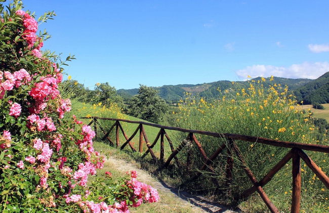 Cozy Apartment With Garden, Patio, Storage, Deckchairs, BBQ - Foto 53