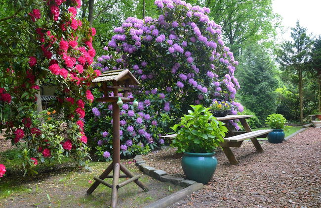 A Detached Bungalow With Outdoor Fireplace, Covered Terrace and Pond in a Forest Plot - Photo 78