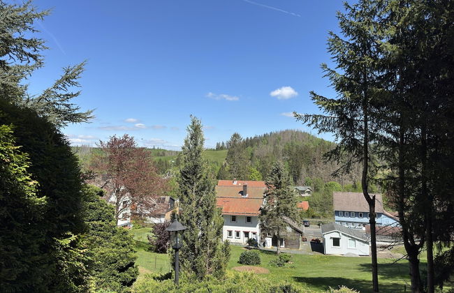 Apartment in Altenau Near Harz Mountains - Foto 35