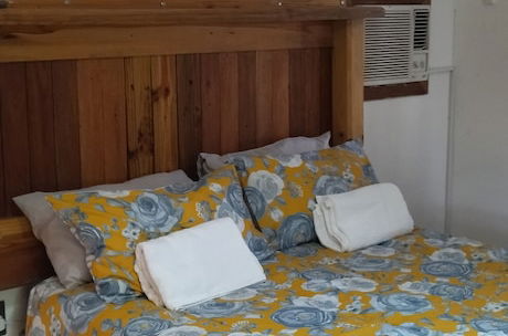 Foto 9 - Immaculate 2-bed Garden Cottage in Beaufort West