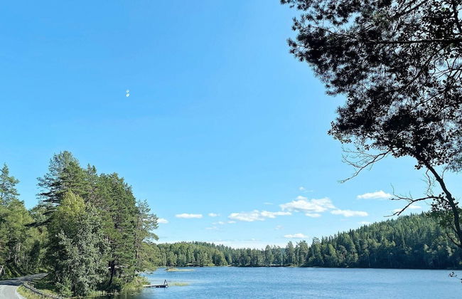4 Person Holiday Home in Bengtsfors - Foto 9