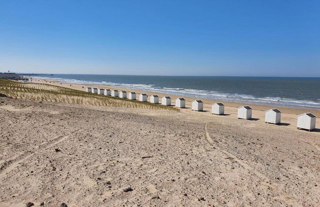 Villa in Cadzand-bad Near North Sea Beach - Foto 41