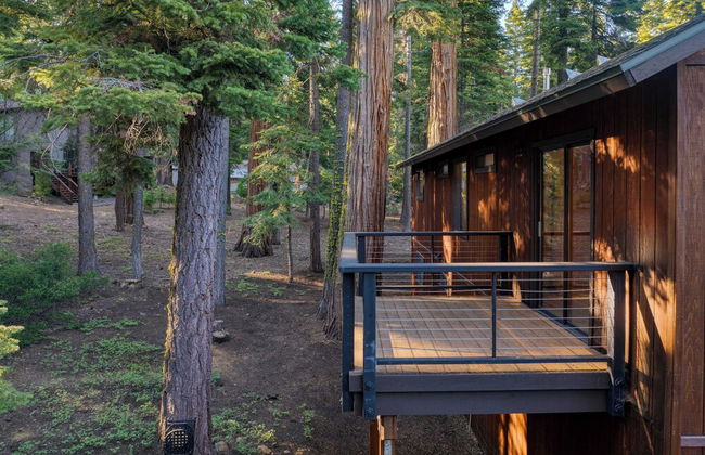 Paige Meadow by Avantstay Near Lake & Tahoe City - Foto 32