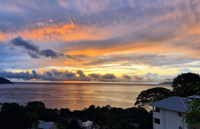 Tropical Secrets Holiday Apartments - Foto 23