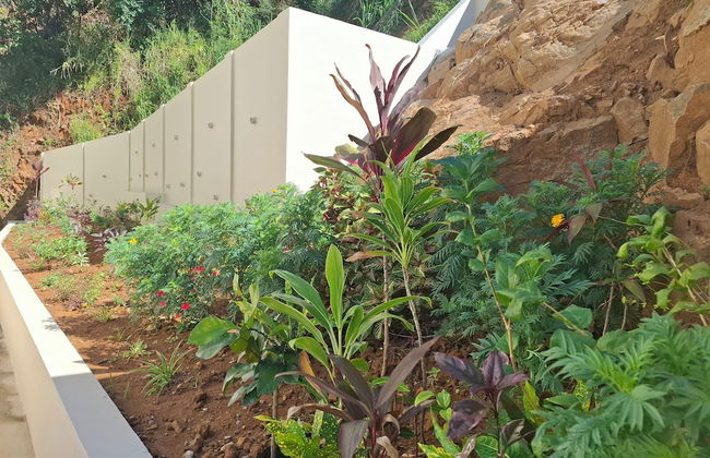 Tropical Secrets Holiday Apartments - Foto 24