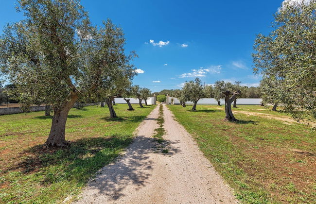 3921 Villa Cesira by Perle di Puglia - Foto 52