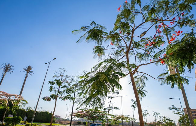 Sokon Residence Rehab - Photo 80