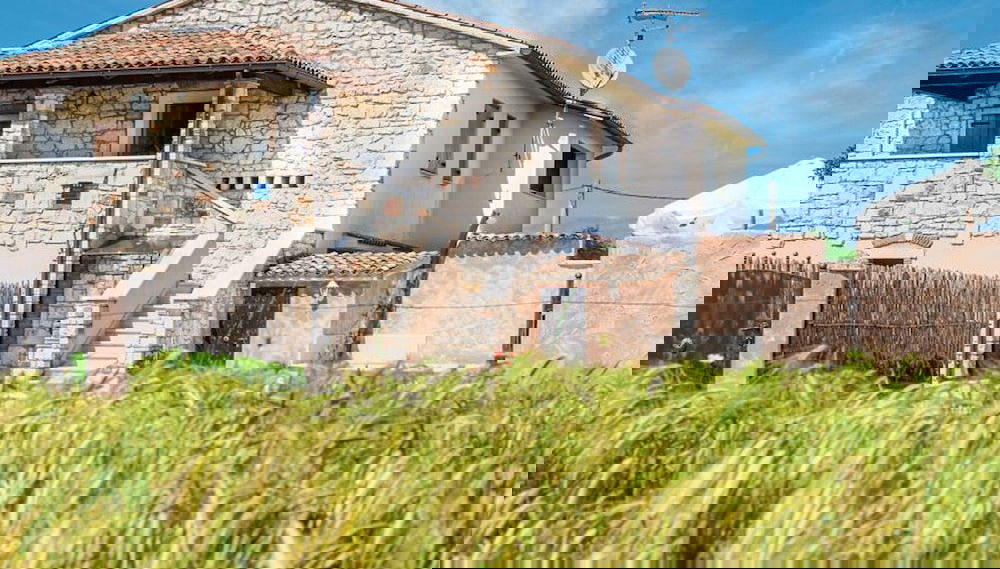 Image principale